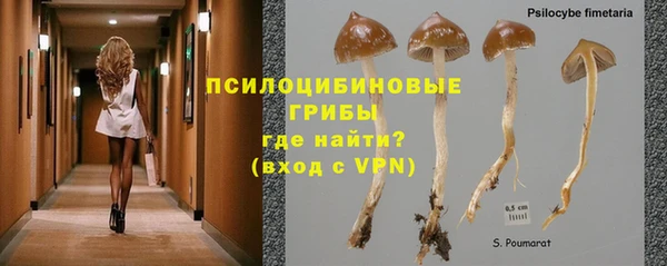 трава Алзамай