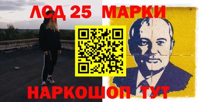 гидропоника Новозыбков