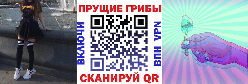 Галлюциногенные грибы MAGIC MUSHROOMS  darknet состав  Черкесск 
