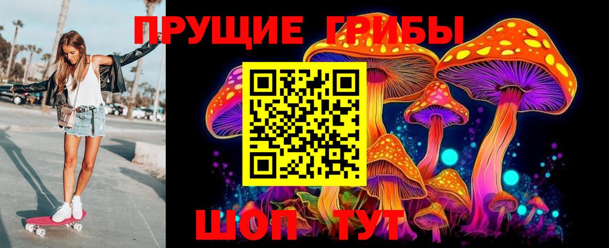 Псилоцибиновые грибы GOLDEN TEACHER Черкесск