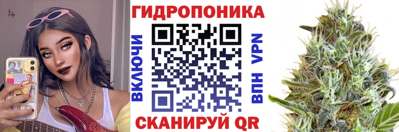 Шишки марихуана гибрид  Черкесск 